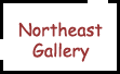 NE Gallery